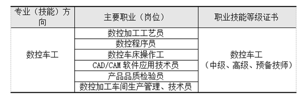 职业岗位范围(面向)