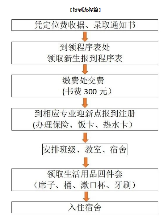 报到流程