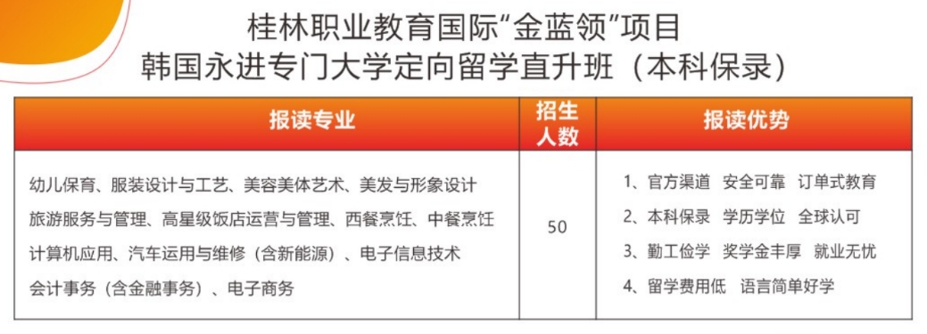 国际留学招生计划